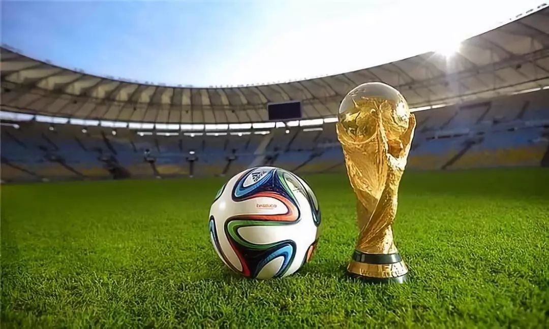 拜合拉木：可惜没能获得熊猫杯冠军，明年努力争取好成绩（拜合拉木：与熊猫杯冠军失之交臂，来年再接再厉力争佳绩）