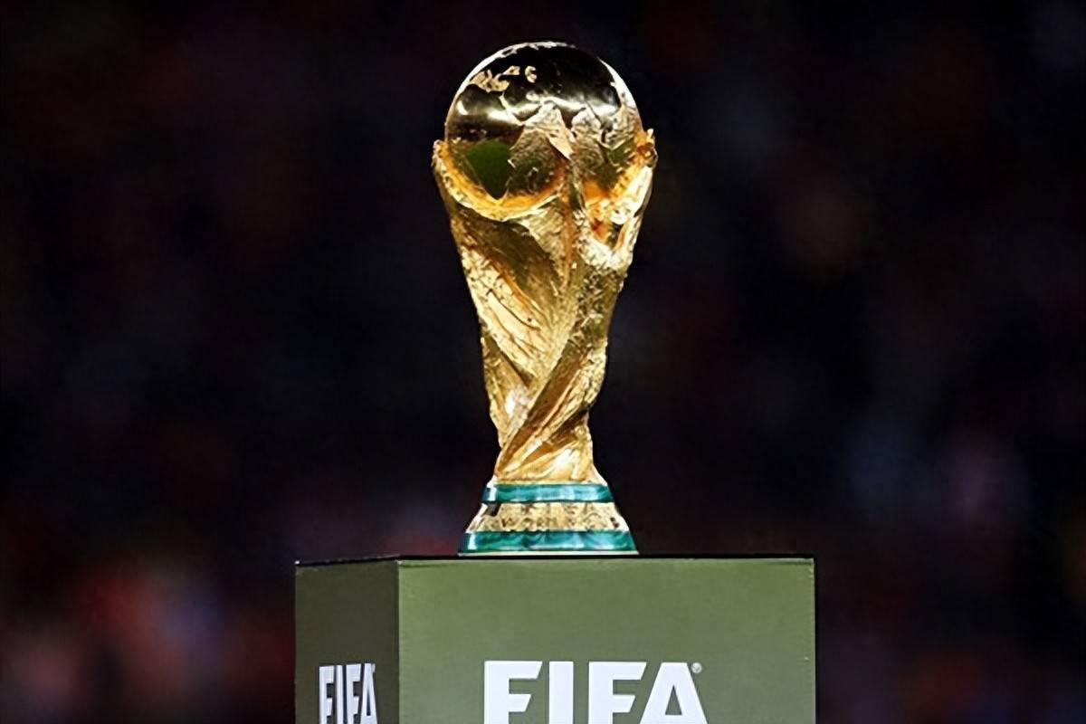 前法国主帅多梅内克：谢尔基没机会进法国队世界杯名单（前法国主帅多梅内克称谢尔基无望入选法国队世界杯名单）